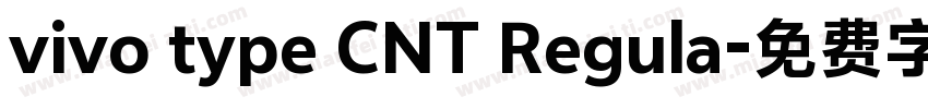vivo type CNT Regula字体转换